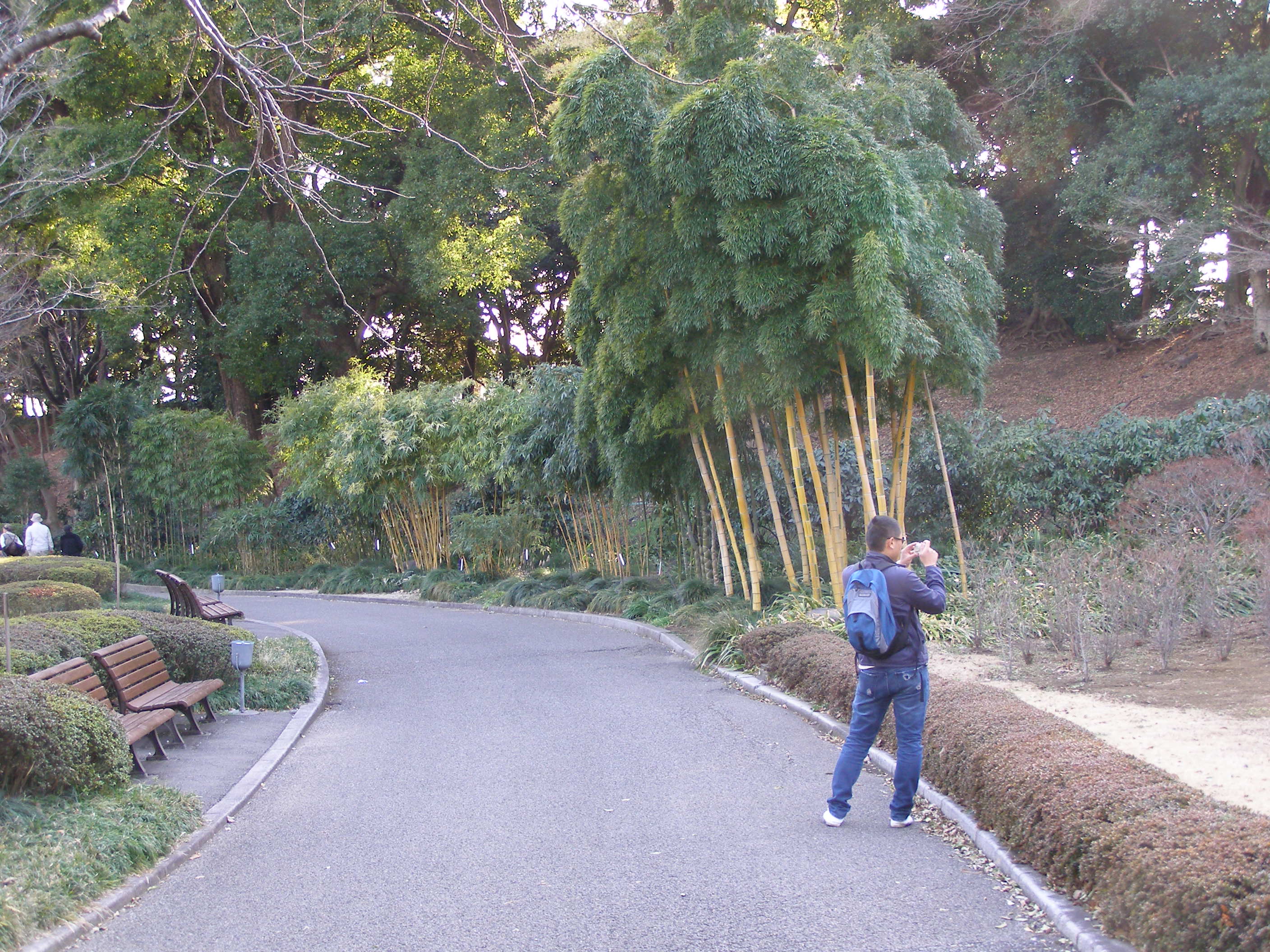 photo
